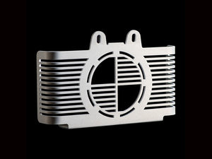 EX-MOTORCYCLE BMW R nineT Oil Cooler Guard – Accessories in the 2WheelsHero Motorcycle Aftermarket Accessories and Parts Online Shop