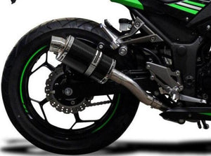 DELKEVIC Kawasaki Ninja 300 Full Exhaust System with DS70 9" Carbon Silencer – Accessories in the 2WheelsHero Motorcycle Aftermarket Accessories and Parts Online Shop