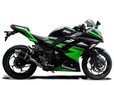 DELKEVIC Kawasaki Ninja 300 Full Exhaust System with DS70 9" Carbon Silencer – Accessories in the 2WheelsHero Motorcycle Aftermarket Accessories and Parts Online Shop