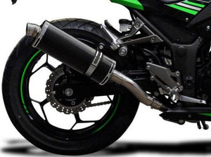 DELKEVIC Kawasaki Ninja 300 Full Exhaust System with Stubby 14" Carbon Silencer – Accessories in the 2WheelsHero Motorcycle Aftermarket Accessories and Parts Online Shop