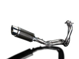 DELKEVIC Kawasaki ER-6N (09/11) Full Exhaust System with Mini 8" Carbon Silencer – Accessories in the 2WheelsHero Motorcycle Aftermarket Accessories and Parts Online Shop