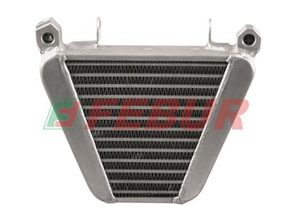 FEBUR Ducati SuperSport 900SS (98/00) Complete Street Increased Oil Radiator – Accessories in the 2WheelsHero Motorcycle Aftermarket Accessories and Parts Online Shop